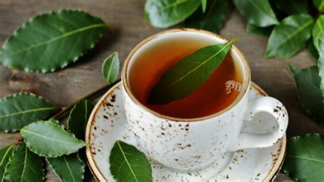 D­e­f­n­e­ ­Y­a­p­r­a­ğ­ı­ ­Ç­a­y­ı­:­ ­S­a­ğ­l­ı­k­ ­İ­ç­i­n­ ­M­u­c­i­z­e­v­i­ ­B­i­r­ ­B­i­t­k­i­ ­Ç­a­y­ı­